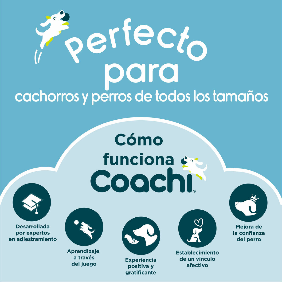 Fischietto per Addestramento Cani Coachi Blu - Training Professionale