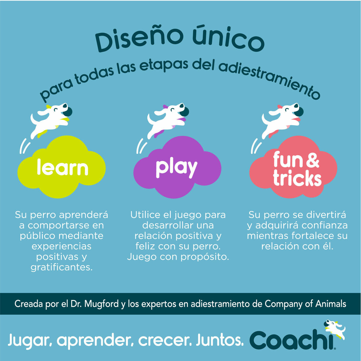 Fischietto per Addestramento Cani Coachi Blu - Training Professionale