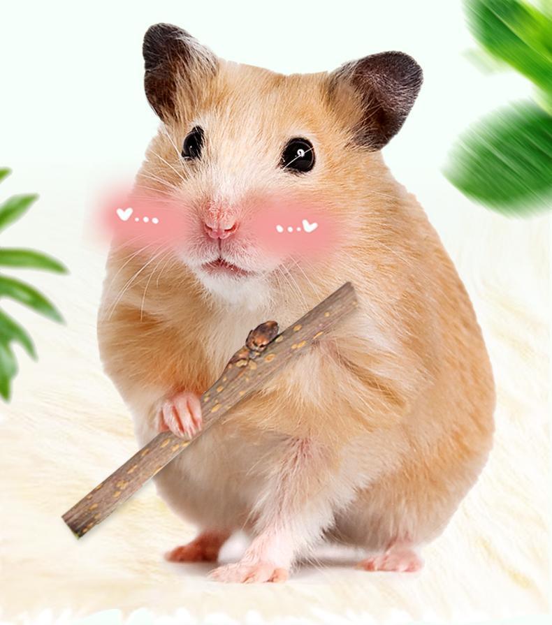 Snack da Masticare in Legno Naturale per Conigli - Rami di Frutta 50g