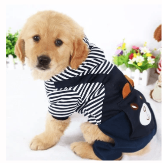 Costume da Coniglio per Animali Domestici - Outfit Adorabile per Cani e Gatti