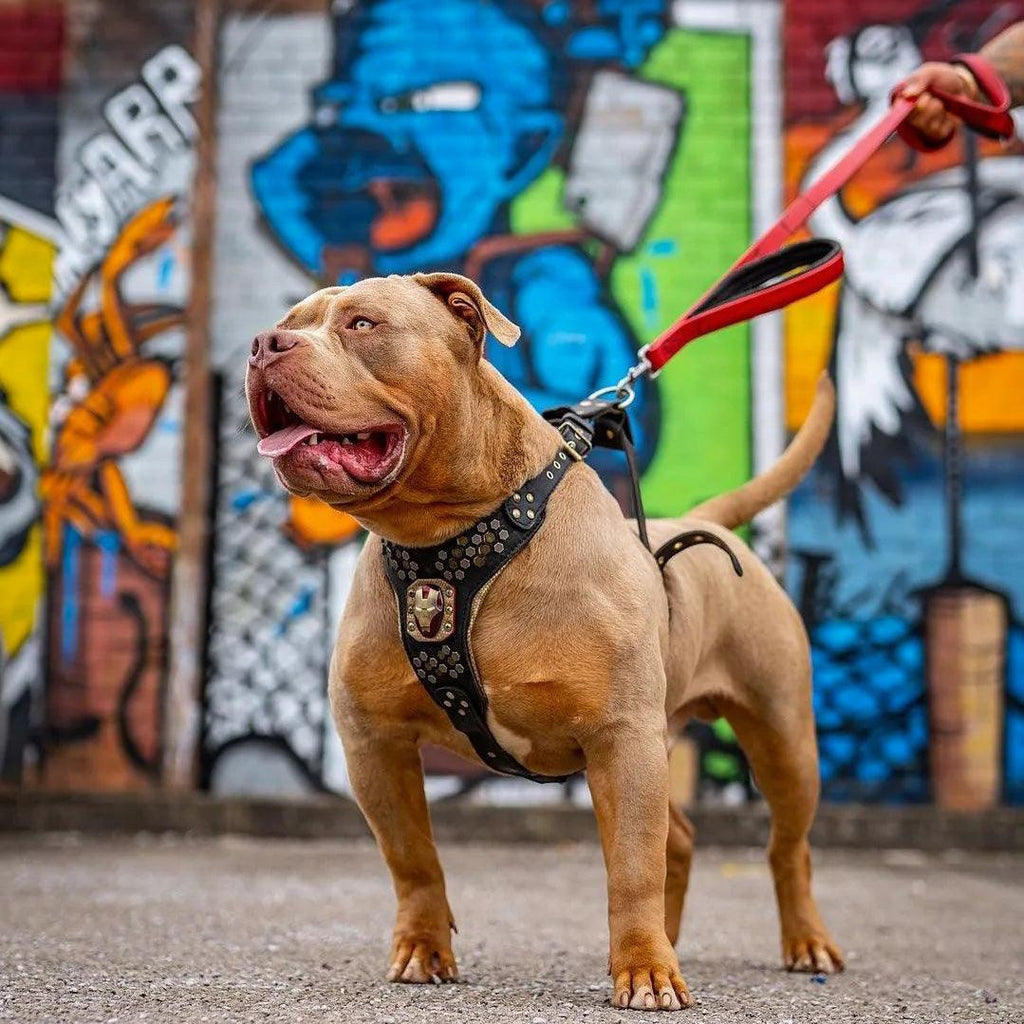 BESTIA DOG SPORT dual handle leash Red